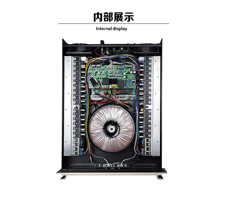 LAIKESI Mono Amplifier Watts Professional Sound Big Power Amplifier