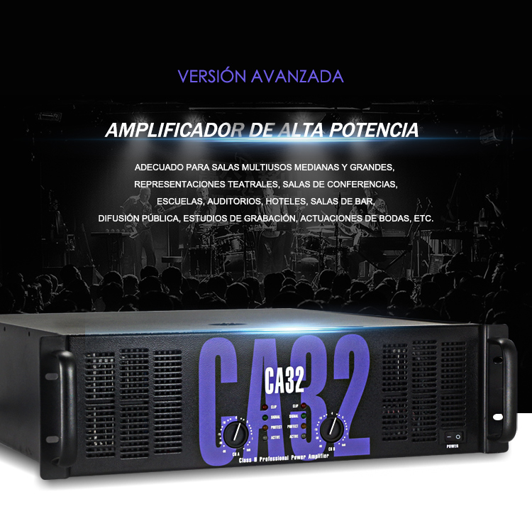 Laikesi Amplificador de Audio Professional power