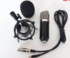 LAIKESI BM-800 192K unidirectional electret condenser microphone for live