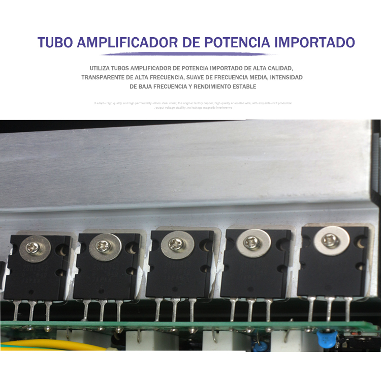 Laikesi Amplificador de Audio Professional power