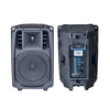 LS22 Professional active speaker amplifier module active karaoke speaker