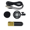 LAIKESI BM-800 BM-100 BM-700 BM-900 unidirectional condenser microphone for live