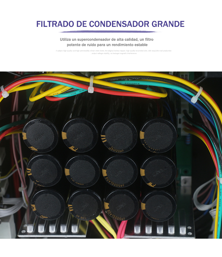 Laikesi Amplificador de Audio Professional power