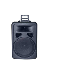 LS22 Professional active speaker amplifier module active karaoke speaker